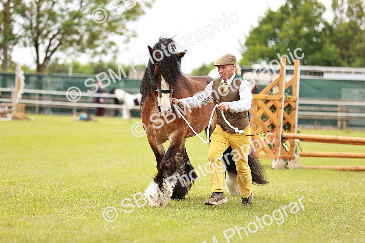 SBM_06046 - Class 39-41 TGCA In Hand and Ridden