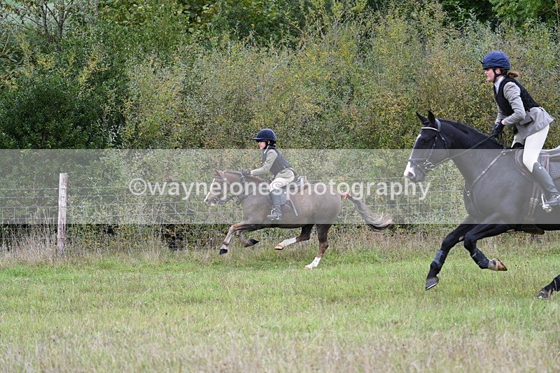 WJ7_3954 - Camera 1 Line 1