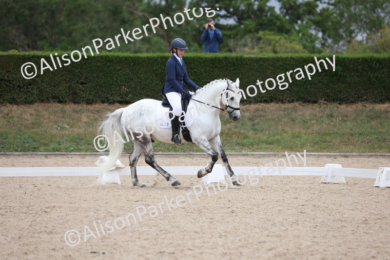 20250705-0430 - Class 5 - Novice 2