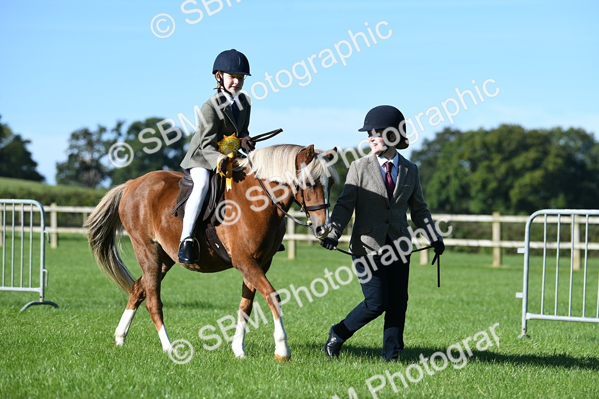 SBM_35524 - S17 - Condition & Turnout - Lead Rein