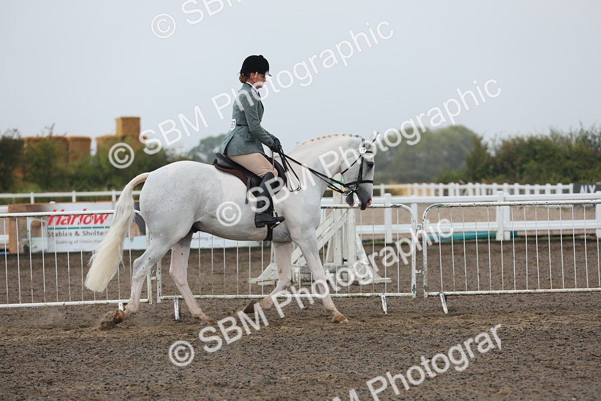 SBM_21229 - Class 805 - Ridden Veteran Horse