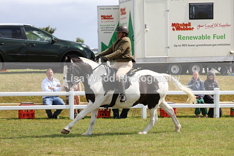 3E7A9784 - Class 5: Rising Star Lightweight/Heavyweight Cobs