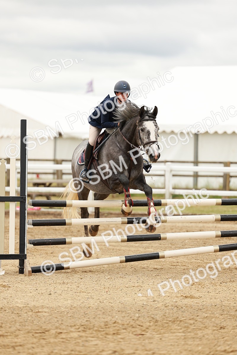 SBM_006038 - Class 1 - Senior British Novice - 90cm Open