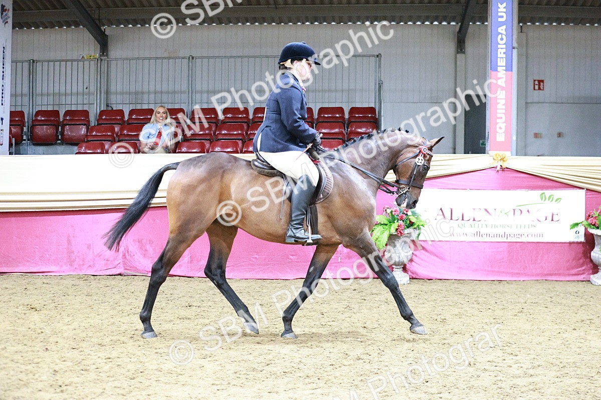 SBM_08407 - Class 11R - Regional Ridden Veteran