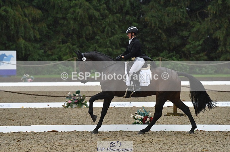 231018-154456-00865 - 012-ROMANY.CRICKET-Nana.Dalton-DR