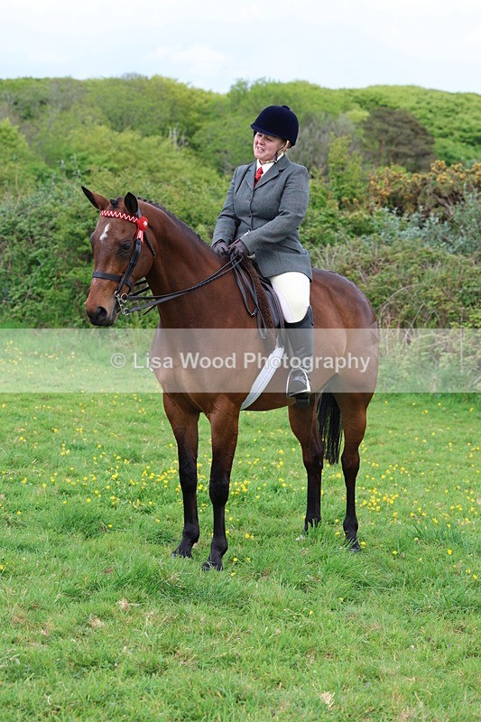 3E7A1884 - Class 9: Riding Club Horse/Pony