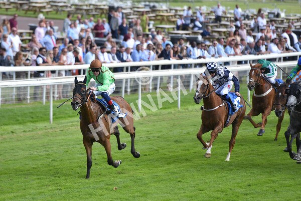 yr09072021r5-41 - Race 5: 4.20pm Garbutt + Elliott Stakes