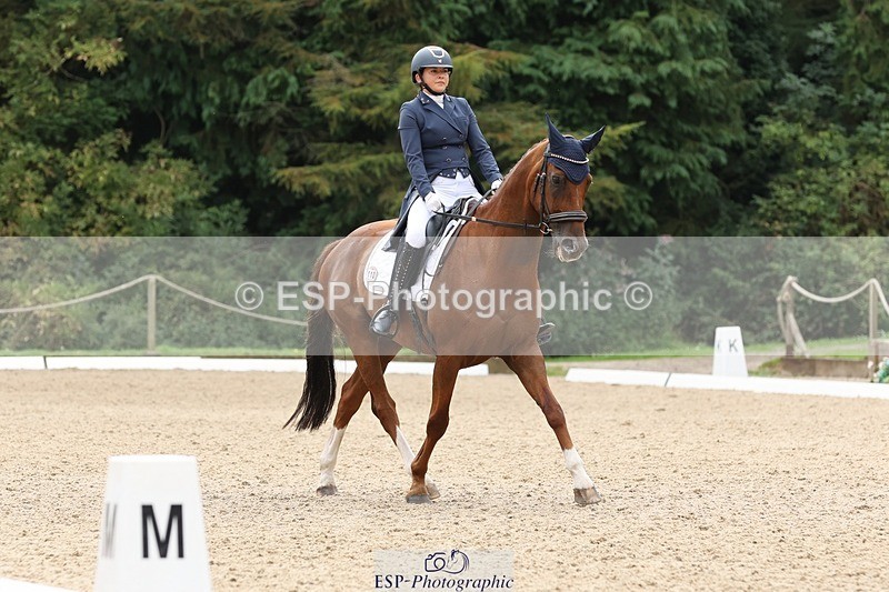 240810-140159-03421 - 110-Helen.Kitto-Da.Vinci.IV