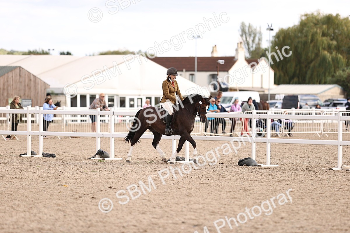 SBM_18208 - Class 423 - Equitation (best rider) Adult