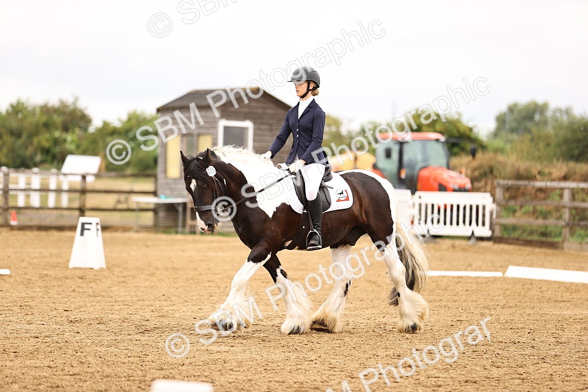 SBM_004021 - Class 7-10 - Novice 2-Elementary 2