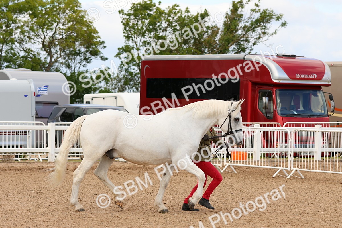 SBM_11944
