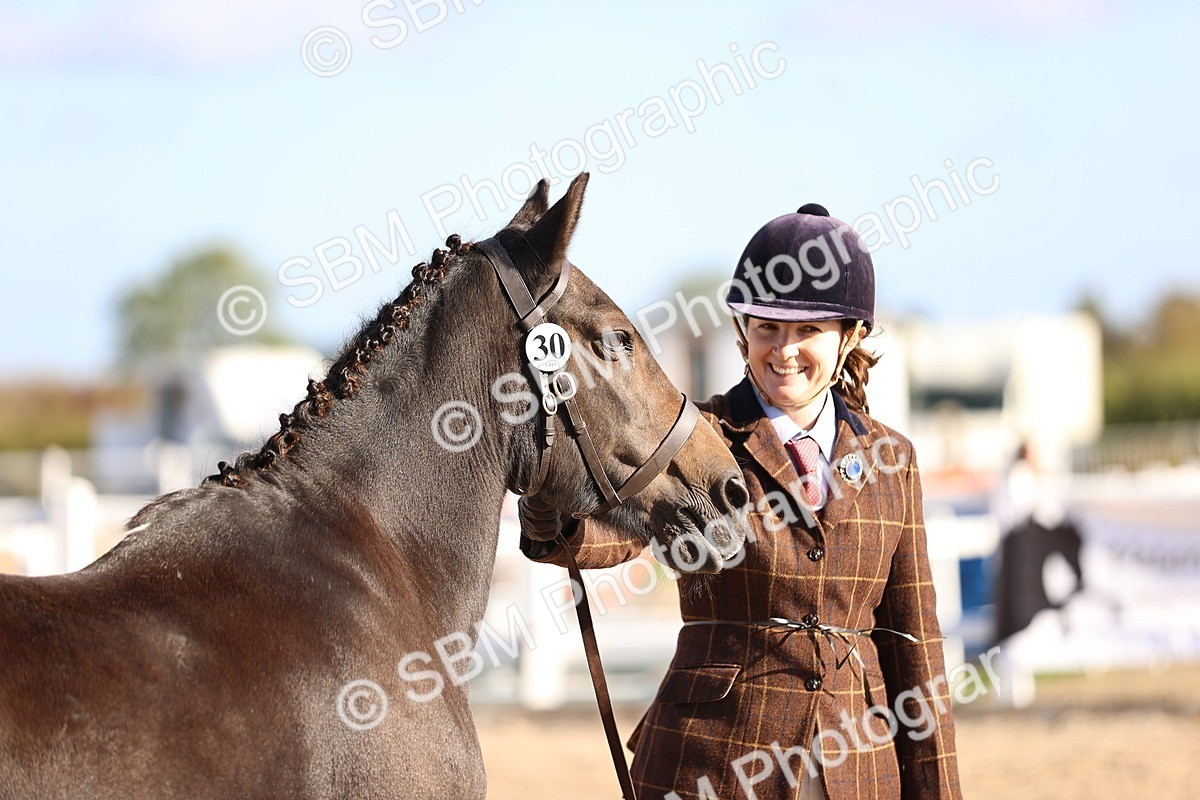 SBM_08524 - Class 402 - IH Veteran Pony