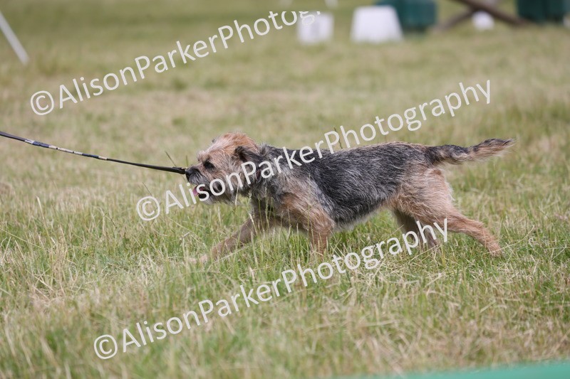 20260614-4380 - Class 25 - Horse and Hound Jumping
