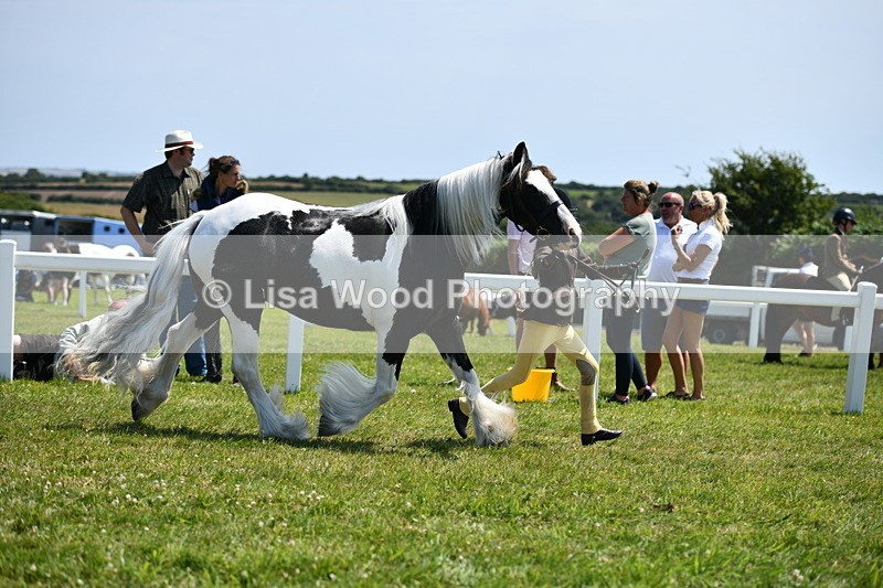 DSC_7589 - Class 64: Coloured Pony 4yrs & over
