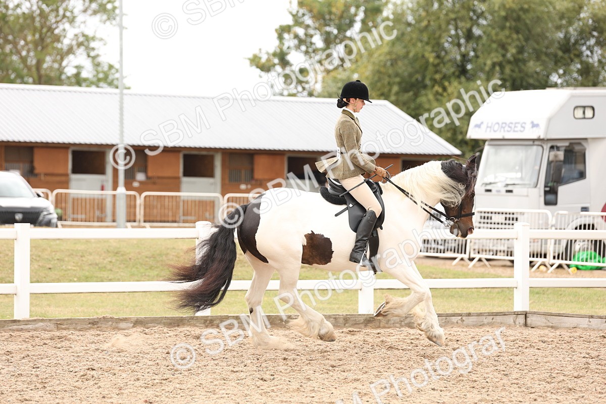 SBM_19674 - Class 216 - Ridden Traditional - Native Cob