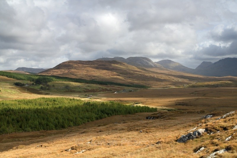 Shadows - West of Ireland