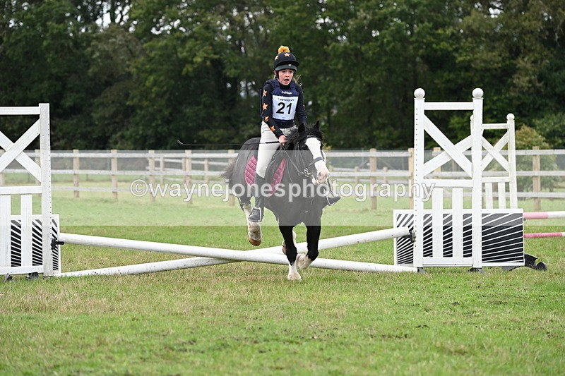 WJ6_0613 - 40cm Time 10:29 to 10:52