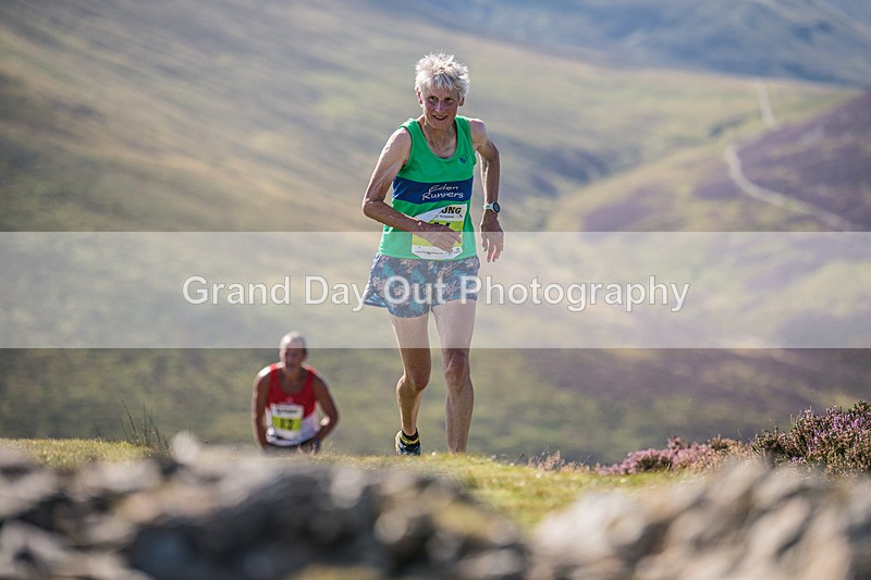 Barrow -445 - Barrow Fell Race, Monday 25th August 2025