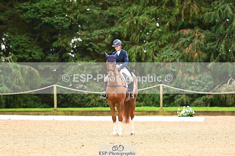 231020-153223-11858 - 213-MGH.HILDARE.HARLEQUIN-Danielle.Mccormack-DR