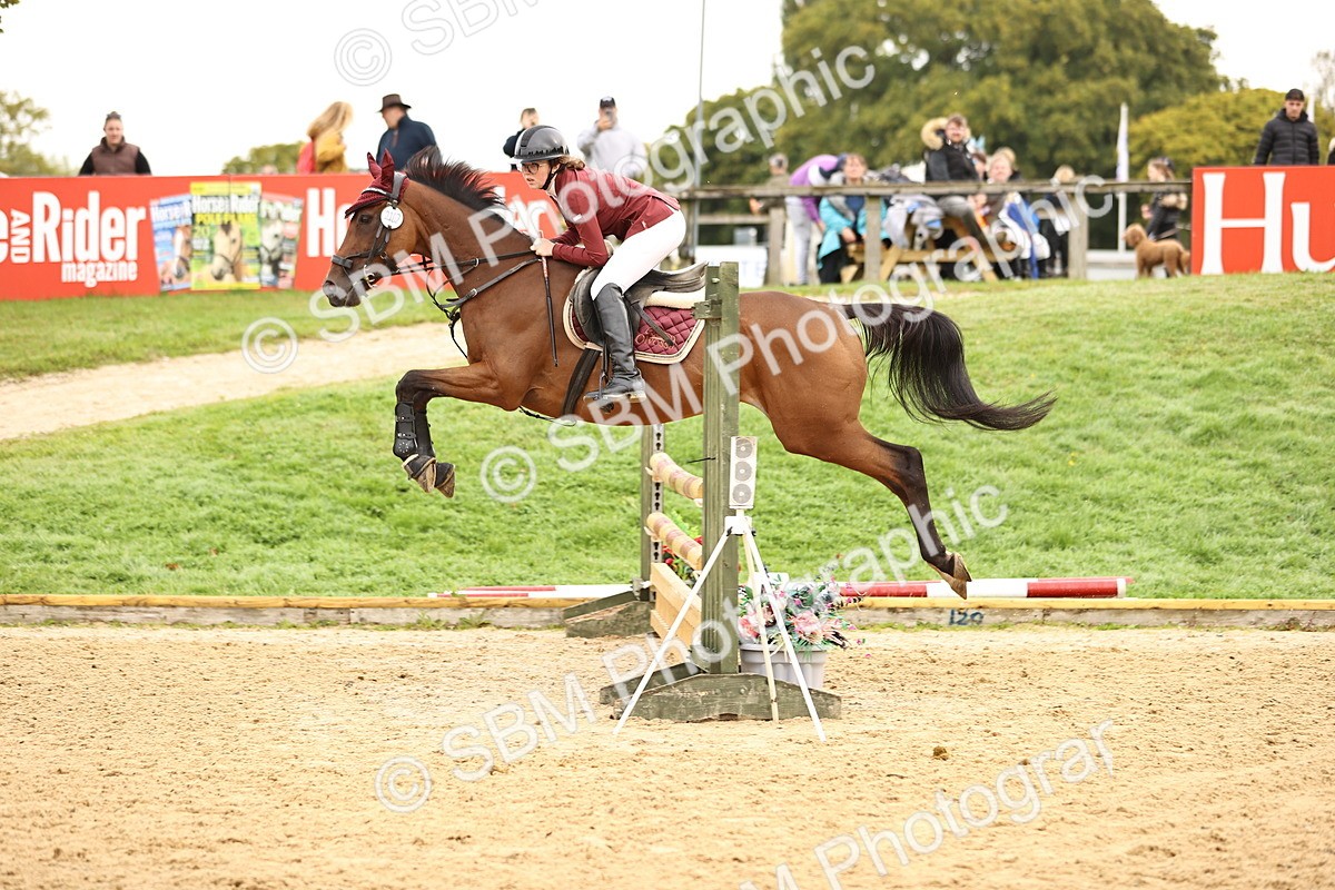 SBM_58342 - J41 - Grand Tour Horse & Pony 95cm