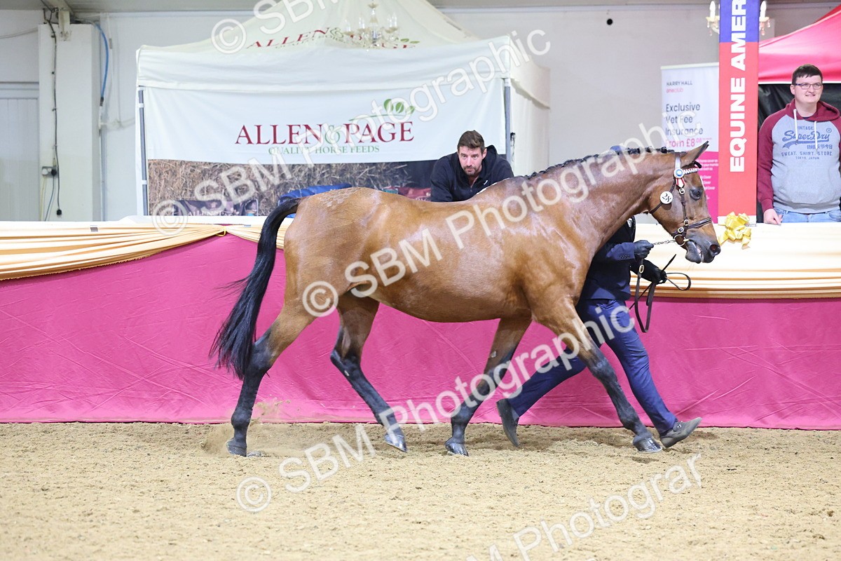 SBM_19640 - Class 901 - Supreme Final - IH Diamond