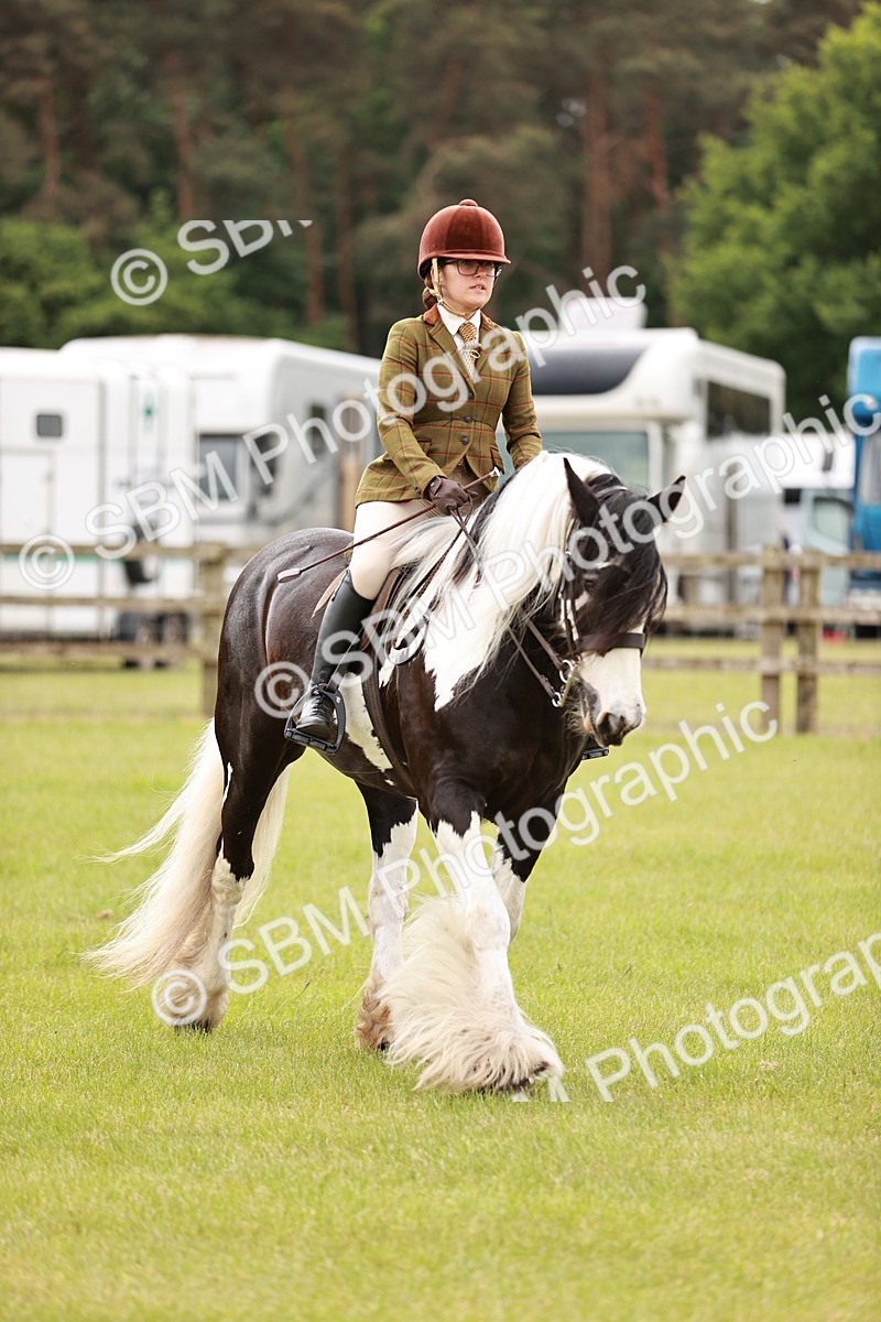 SBM_06135 - Class 39-41 TGCA In Hand and Ridden
