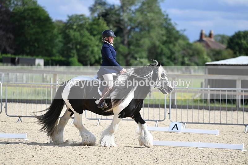 WJ5_7763 - Time 16:40 to 16:55