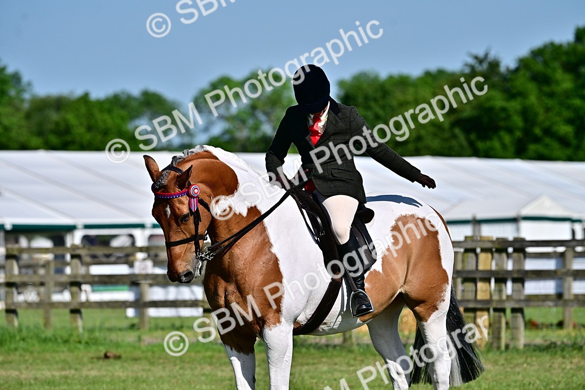 SBM_19536 - Class 101-102 - BSPS LIHS Performance Coloured Horse/Pony
