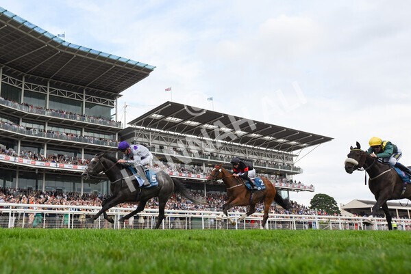 yr23072022r6-38 - Race 6 5.00pm Sky Bet Partnership with Support Dogs Stakes