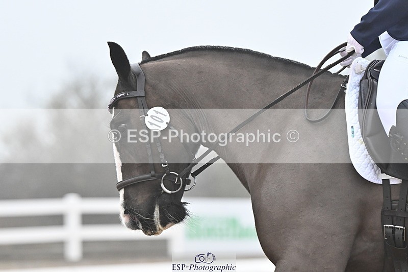 240217A-100550-00535 - 101-Chloe.Walton-La.Comtesse.Noire