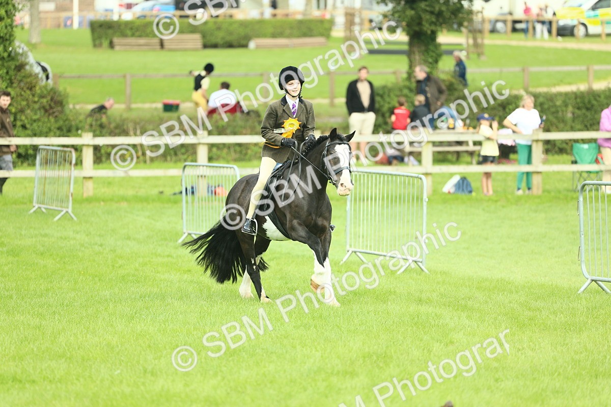 SBM_42247 - S29 - Novice & Newcomers Working Hunter Pony