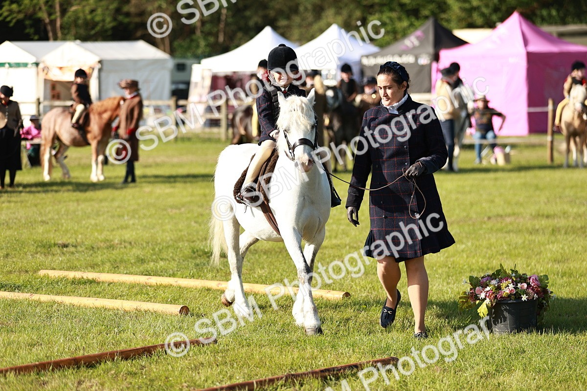 SBM_11094 - Class 106-107 - BSPS LIHS Working Sports Pony