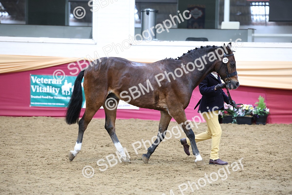 SBM_23593 - Class 904 - Supreme Final - Ridden Diamond