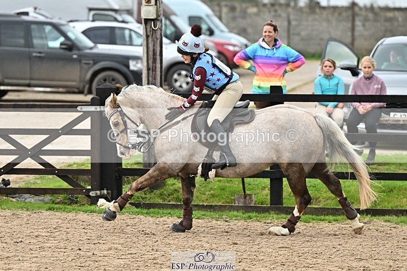 241110-120316-00581 - 50-55cm Arena Eventing