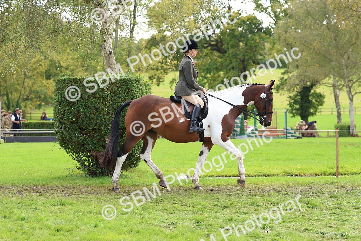 SBM_45185 - S27 - Young Veteran Ridden