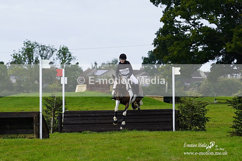  WWHT 031021 2404 - Novice Pairs (0.80m)  03/10/21