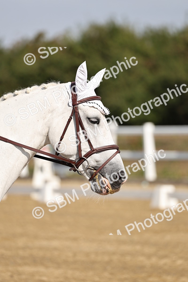 SBM_017050 - Class 12-14 - Intro 2-Prelim 5