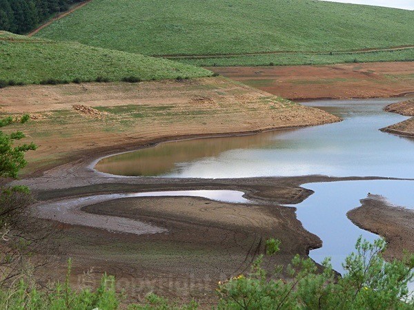 Water Sculpture - LANDSCAPES & TREES