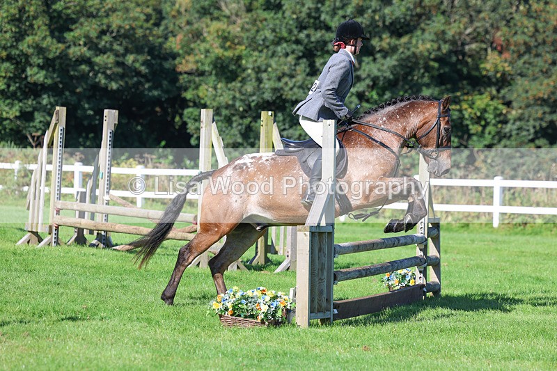 3E7A7797 - Class 2: Open Working Hunter pony