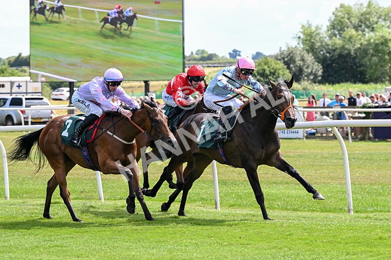 160725-Race 2-Shetakesthegold-8844 - Race 2