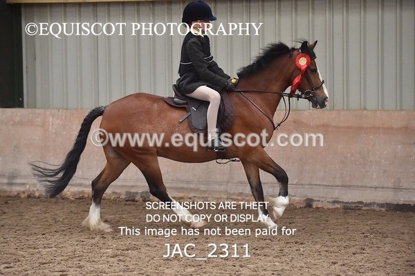 JAC_2311 - CLASS 2 Novice Working Hunter