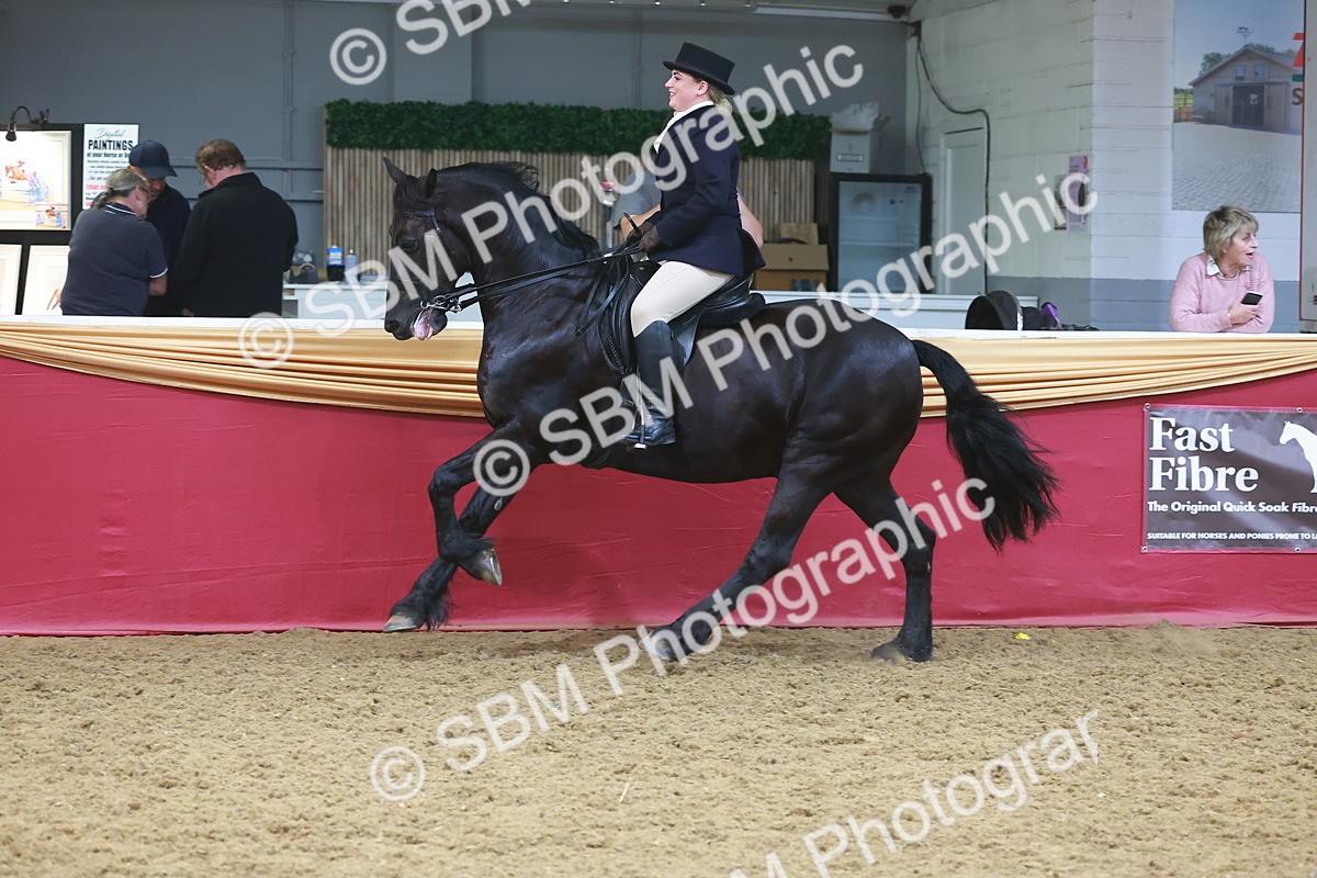 SBM_17766 - Class 952 - M&M Ridden Supreme Final