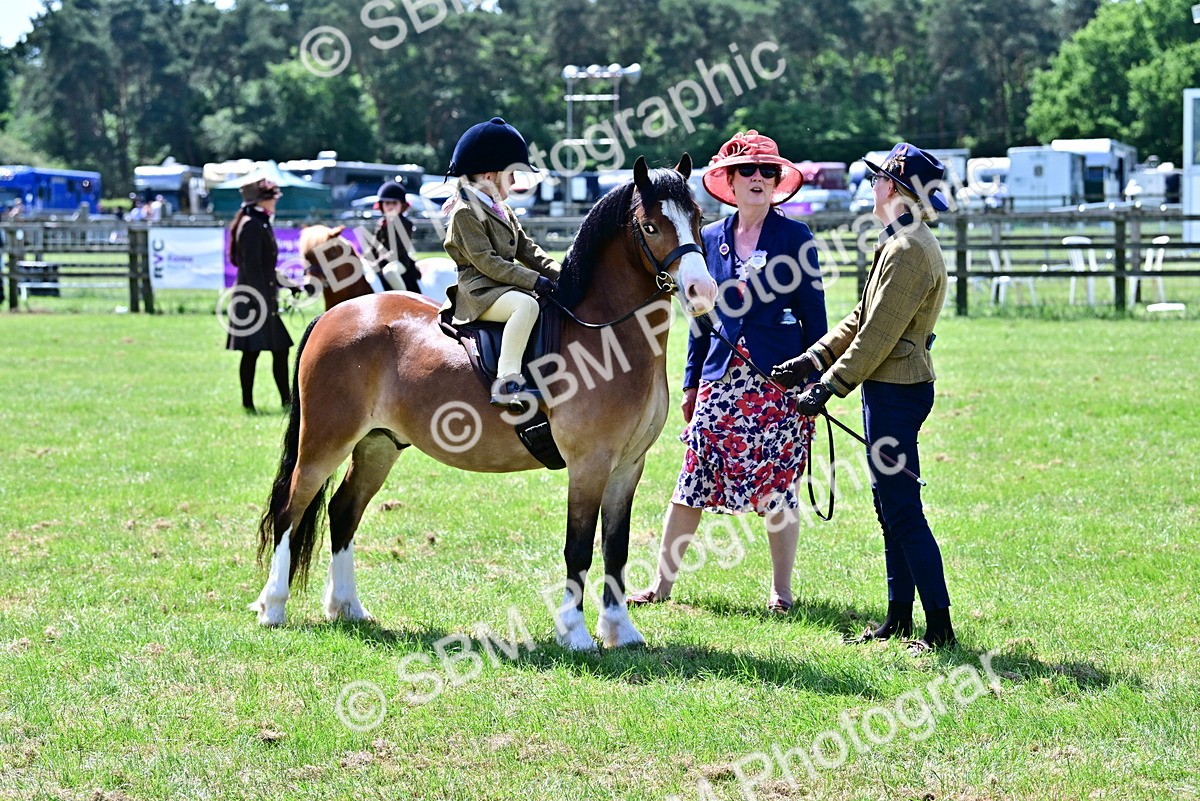 SBM_05822 - Class 59-60 - TSR M&M  Lear Rein and First Ridden Amateur of the year