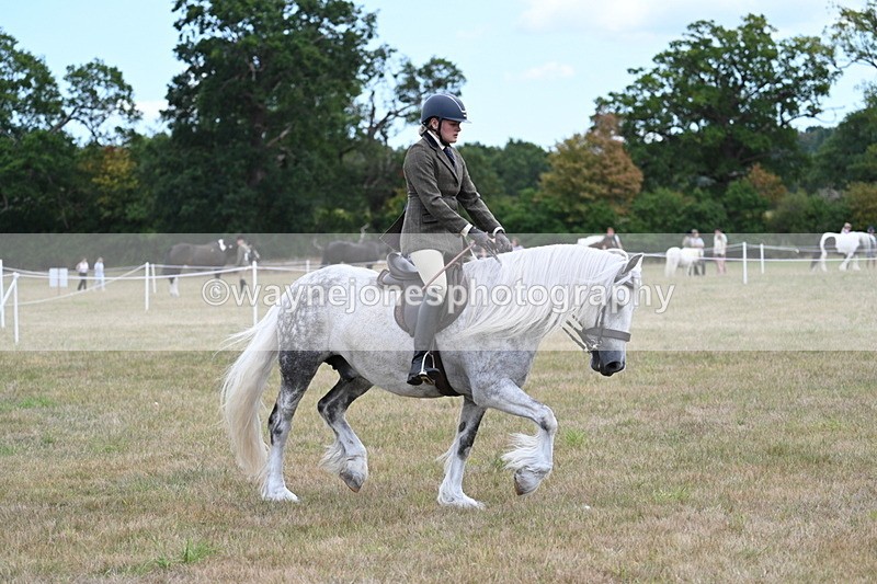 WJ7_5289 - Class 12 Ridden Cob