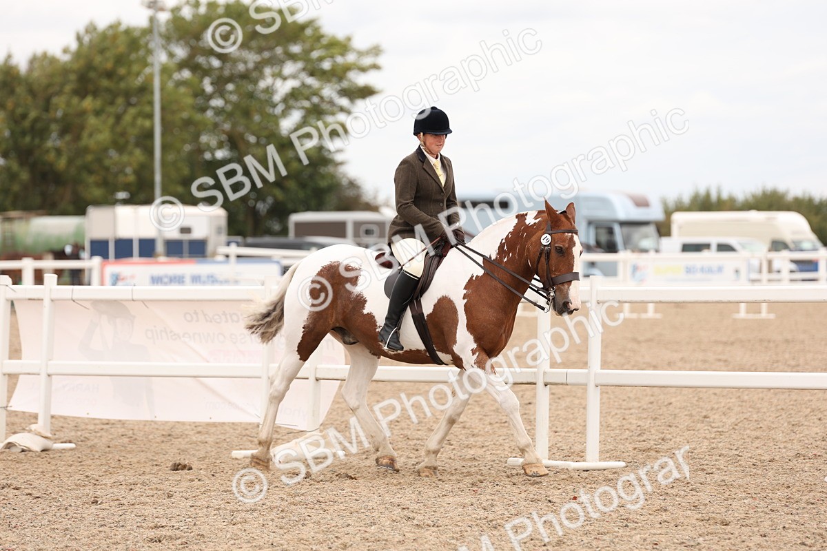 SBM_19520 - Class 215 - Ridden Show cob