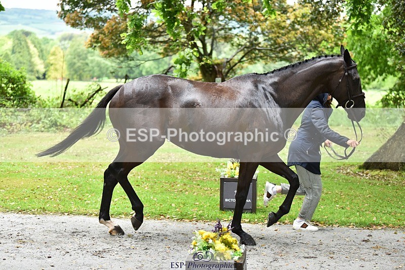 240522-154036-00520 - 353-BIKINI-Rose_De_Montmorency