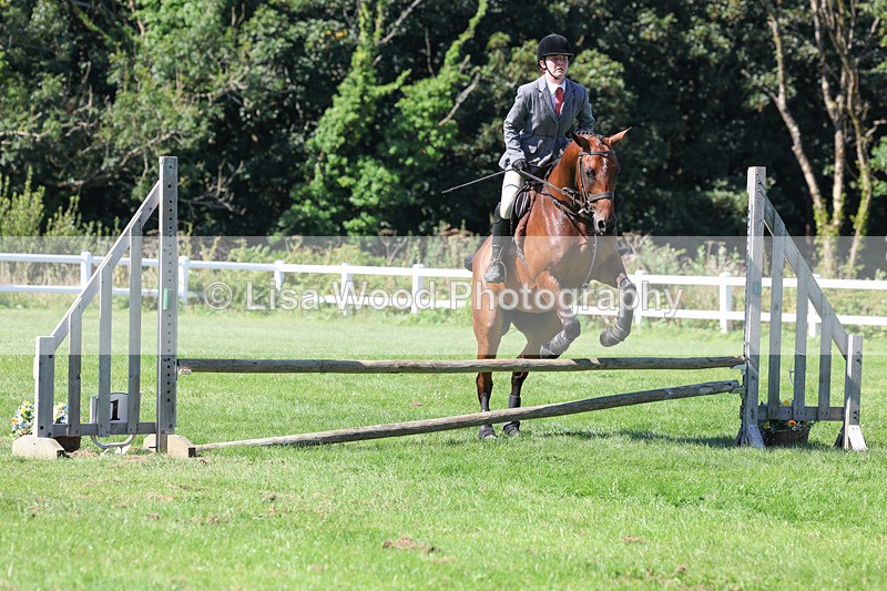 3E7A8292 - Class 4: Novice working Hunter