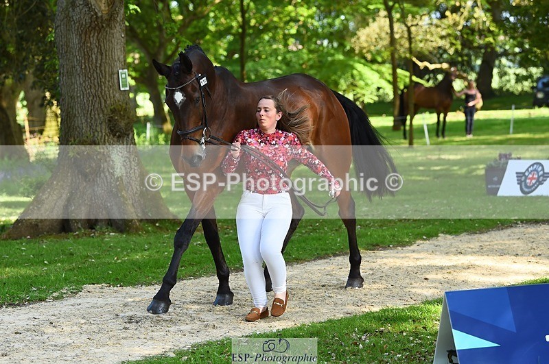 230524-164000-01011 - 110-SAM-Zoe_Boyles-WEDTrotUp+DR