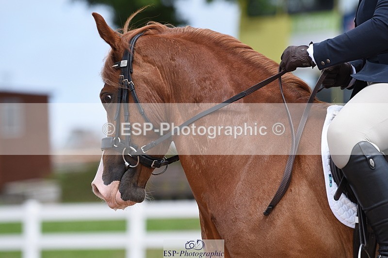 230702A-132506-10355 - Cls 1, 3+4 Intro A, Prelim 12+18