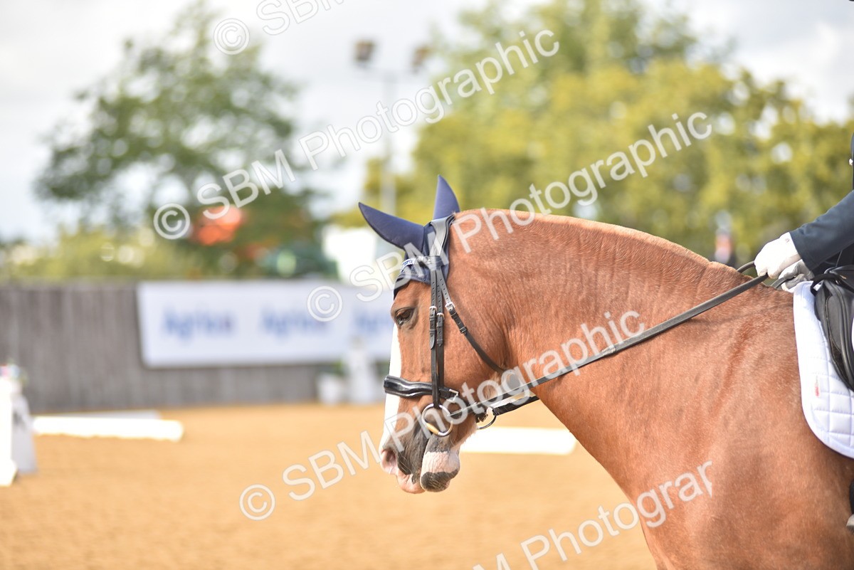SBM_24384 - D4 - Small Tour Championship Intro 4